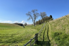 Gurston-spectating-IMG_7293