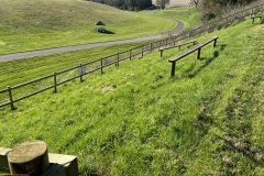 Gurston-spectating-IMG_7297