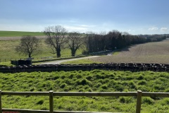 Gurston-spectating-IMG_7303