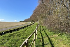 Gurston-spectating-IMG_7304