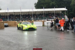 IMG_7517